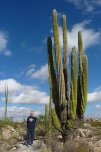 Un cactus che mi fa sembrare piccolo...