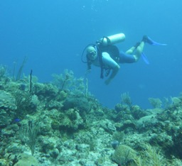 In immersione al Banco Chinchorro