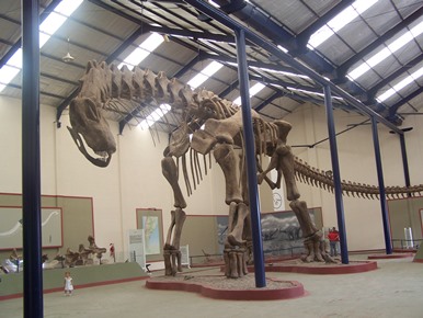 L'argentinosaurus si presenta così al visitatore