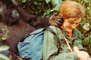 Dian Fossey è il 'suo' Digit