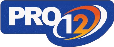Il logo della Pro12, ex Celtic League