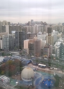 Tokyo è bigia il 20 novembre